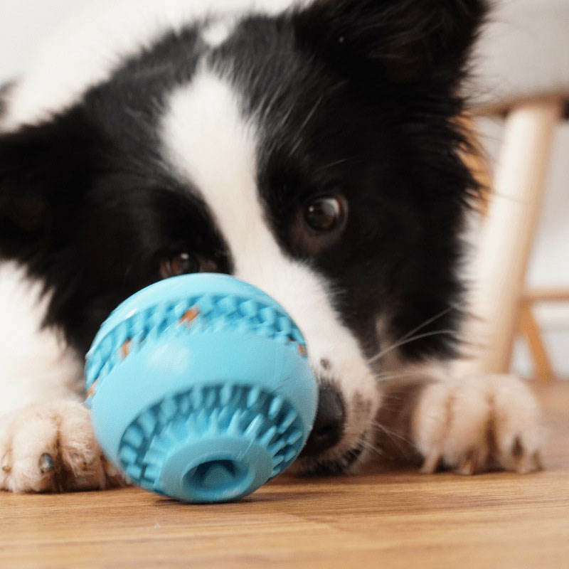 Pet Ball Natural Rubber Teeth Cleaning Small Medium Puzzle IQ Leakage Food Dog Toy Ball